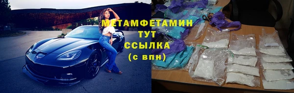 мдпв Ельня