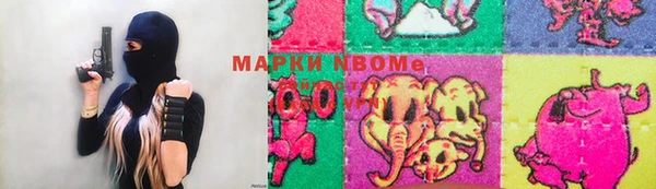 хмурый Елизово
