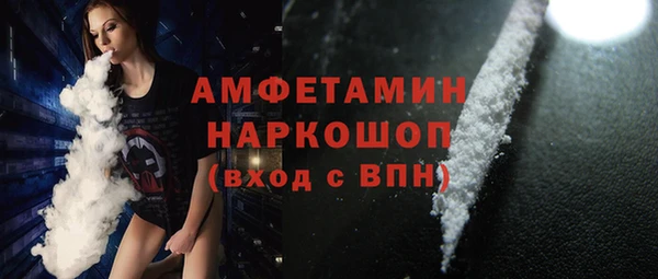 мдпв Ельня