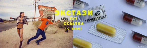 мдпв Ельня