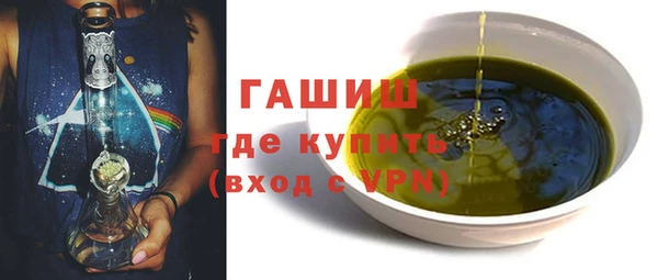 мдпв Ельня