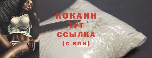 хмурый Елизово