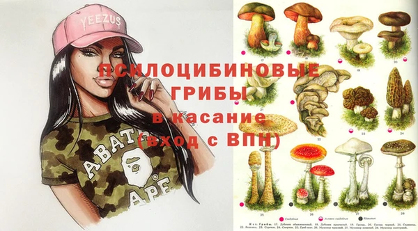 мдпв Ельня