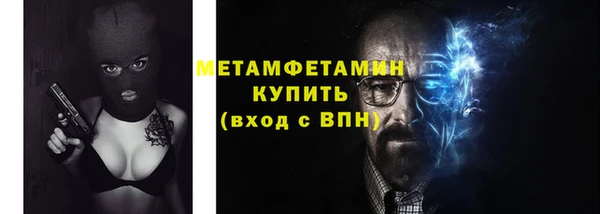 мдпв Ельня
