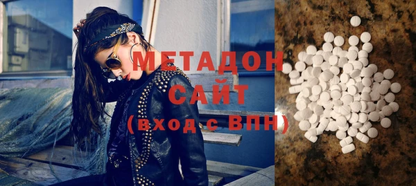 мдпв Ельня