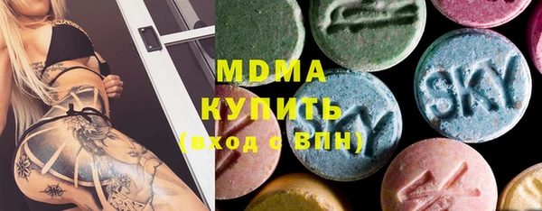 мдпв Ельня