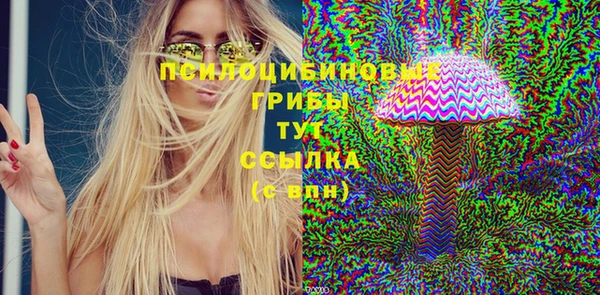 хмурый Елизово