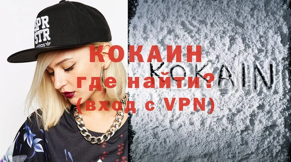 мдпв Ельня
