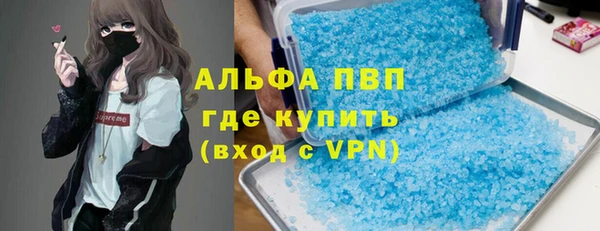 мдпв Ельня