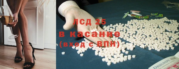 мдпв Ельня