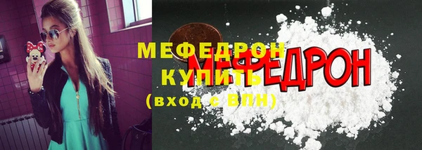 мдпв Ельня