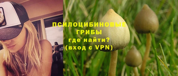 мдпв Ельня