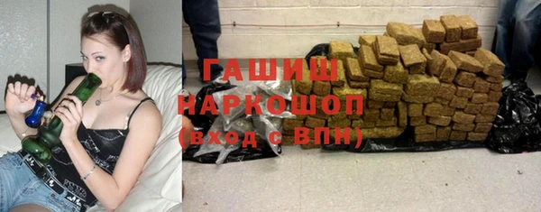 мдпв Ельня