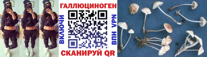 Купить закладки  Мезень  Псилоцибиновые грибы мицелий 